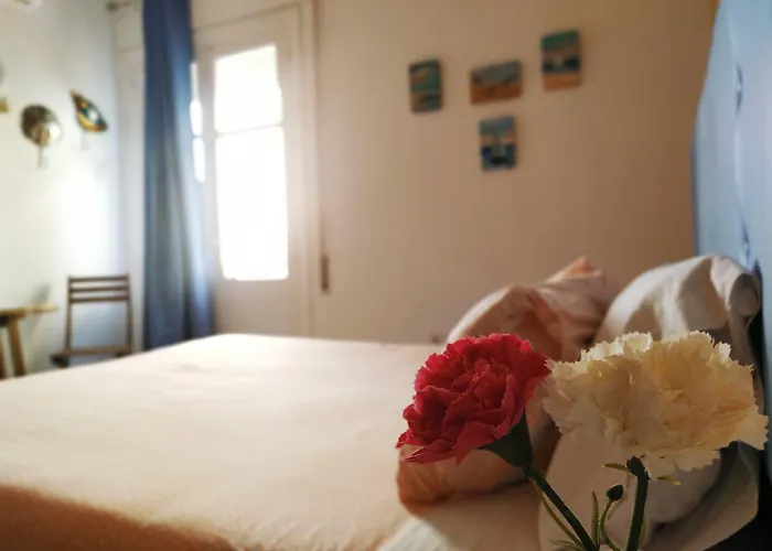 Hostal Casa Nautilus